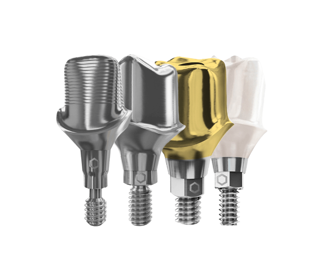 INDIVIDUELLE ABUTMENTS